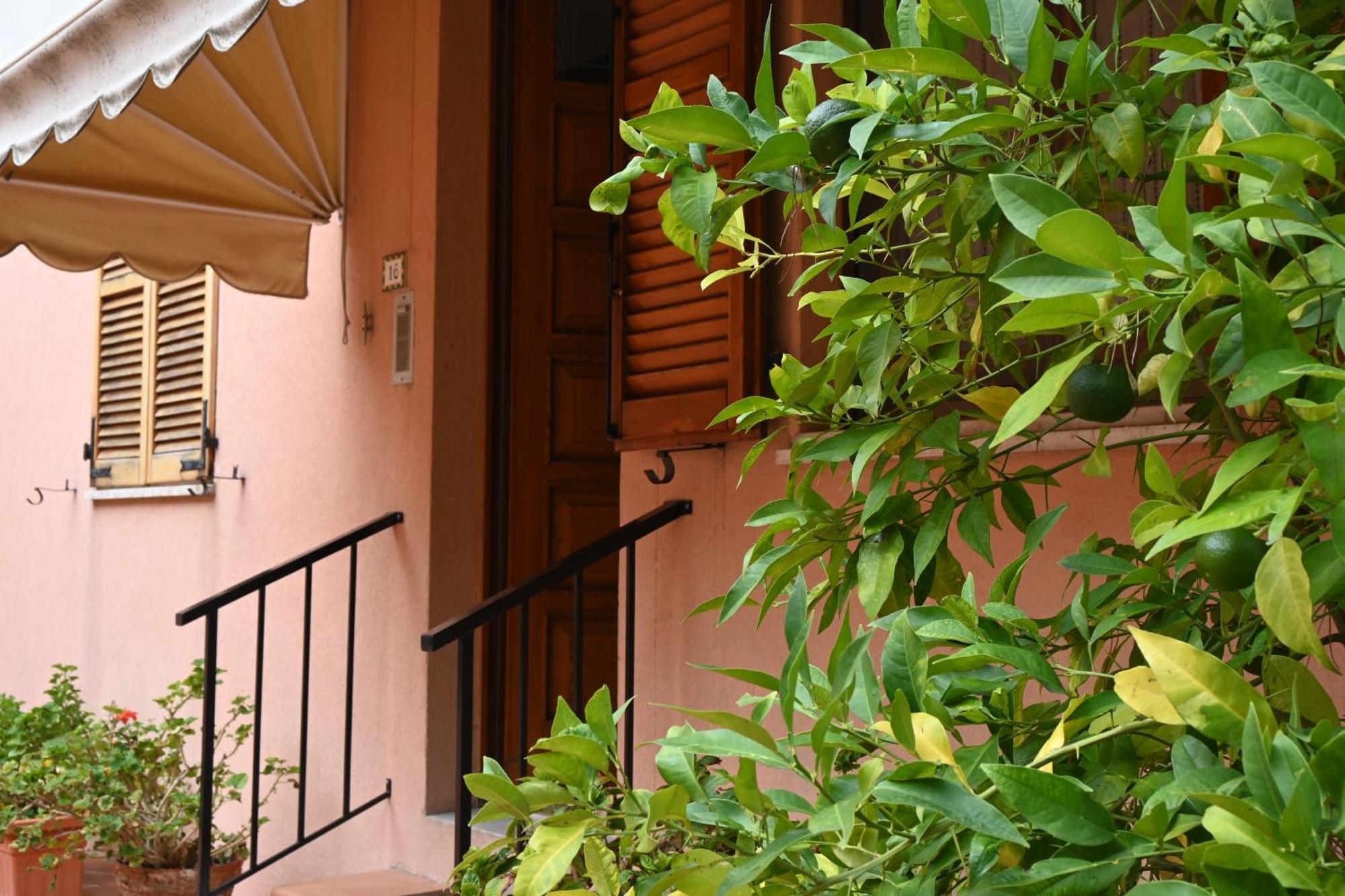 N080 - Numana, Bilocale Con Terrazzo In Centro Appartement Sirolo Buitenkant foto